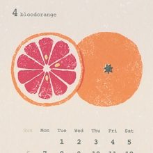 #588 花の店はれ カレンダー2014「ブラッドオレンジ」