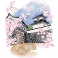 #0700 絵葉書・福岡城跡と桜