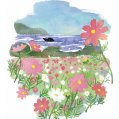 #0702 絵葉書・能古島とコスモス