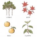 #0806 キエルト リーフレット 1