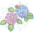 #0812 季節のカット 3