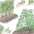 #0851 木嶋利男 著「野菜の性格 アイデア栽培」8